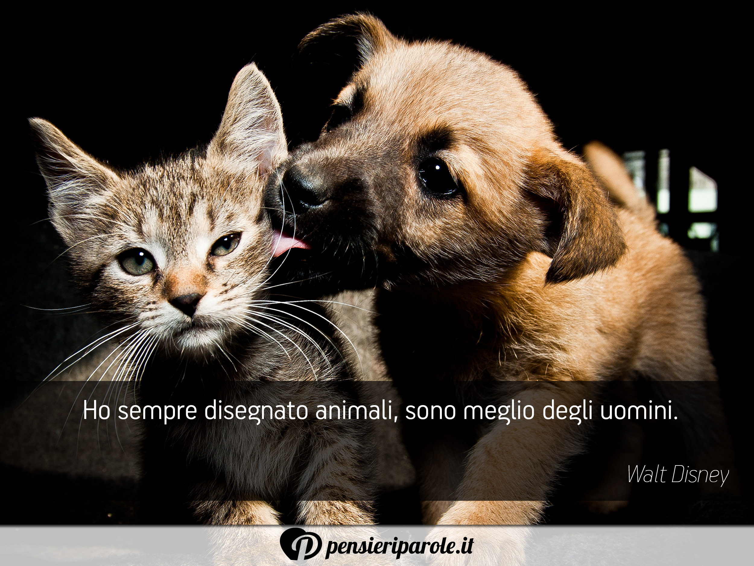 Le 10 Migliori Frasi Sugli Animali Pensieriparole Magazine