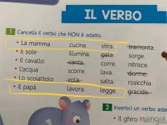 “La mamma stira, il papà lavora”: è polemica per un libro di scuola elementare